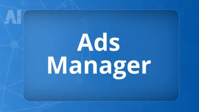 Reasons for granting access to Facebook Ads Manager