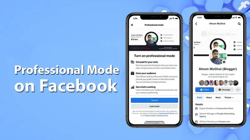 About professional mode on Facebook