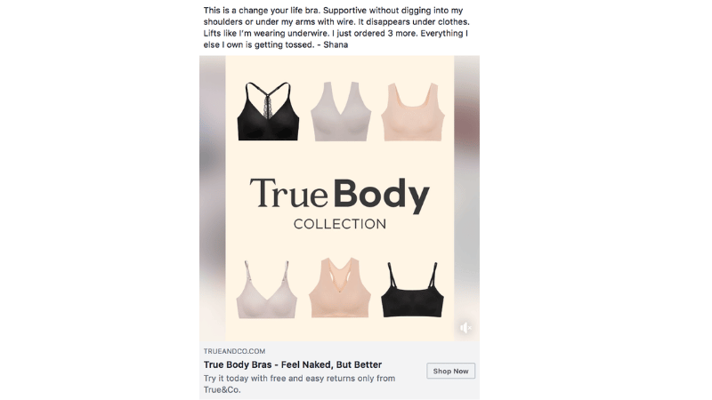Which product category do bras fall under on Facebook?
