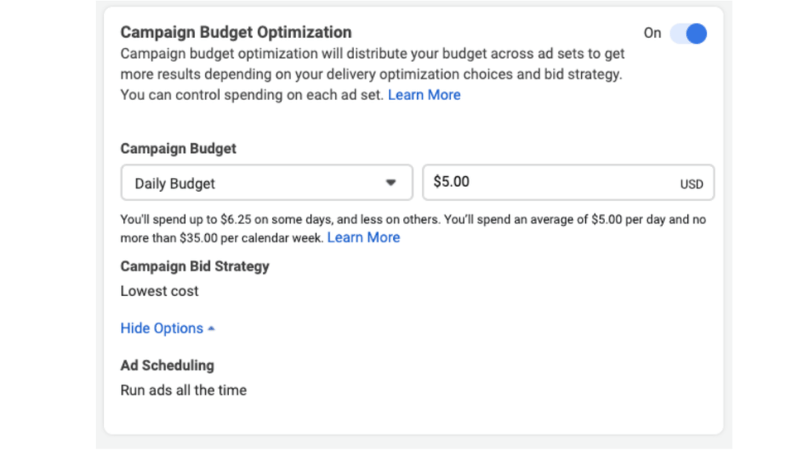 Optimizing budget and bidding strategy to avoid wasted impressions