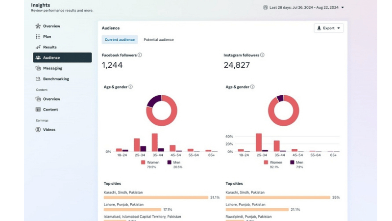 Meta Audience Insights